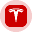 Tesla Tokenized Stock (Ondo) icon